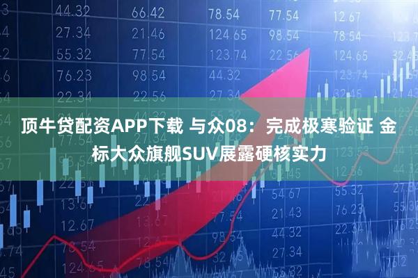 顶牛贷配资APP下载 与众08：完成极寒验证 金标大众旗舰SUV展露硬核实力